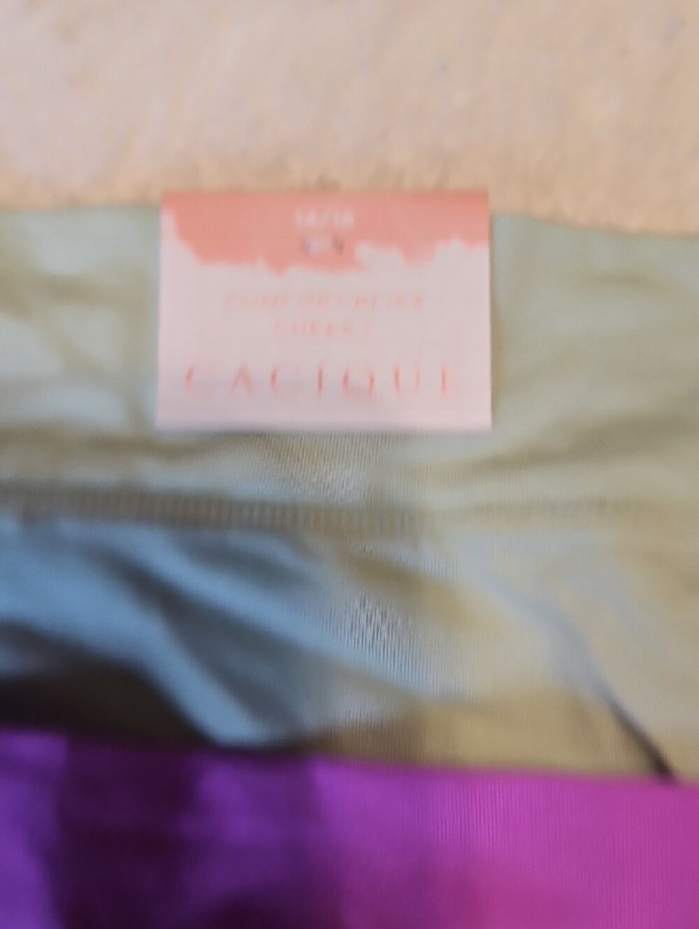 Cacique Three-Pack Hipster Panties in Red Floral, Purple & Mint - Picture 5 of 8
